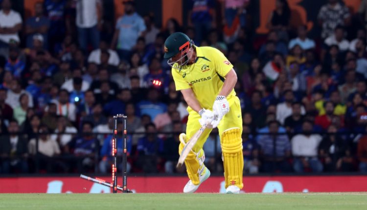 Aaronfinch ഫിഞ്ച് ഓസ്ട്രേലിയ
