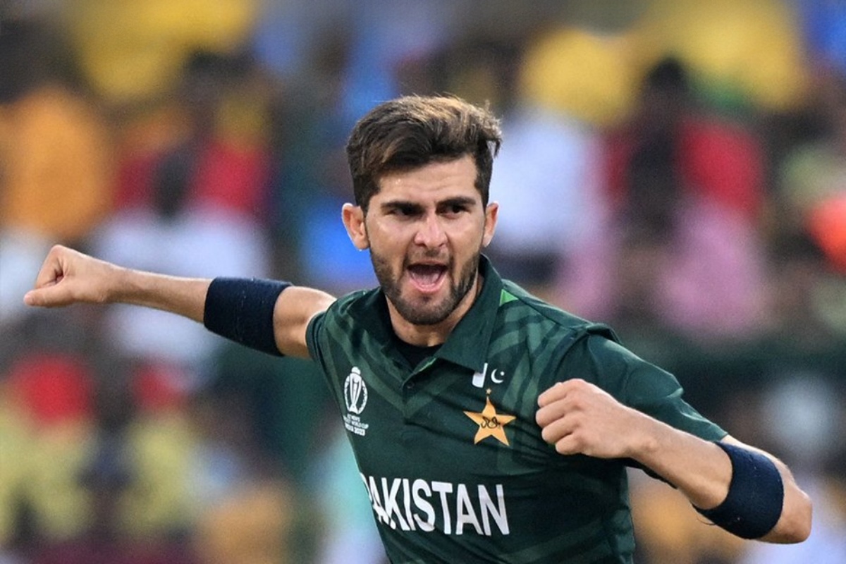 Picsart 23 10 20 21 23 43 387