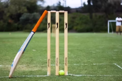 cricket