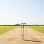 Cricket