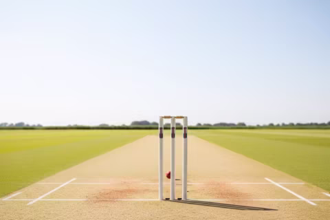 Cricket