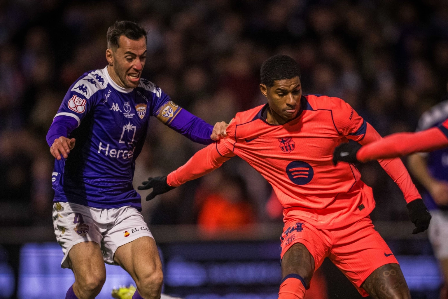 Resizedimage 2025 12 17 09 53 30 1