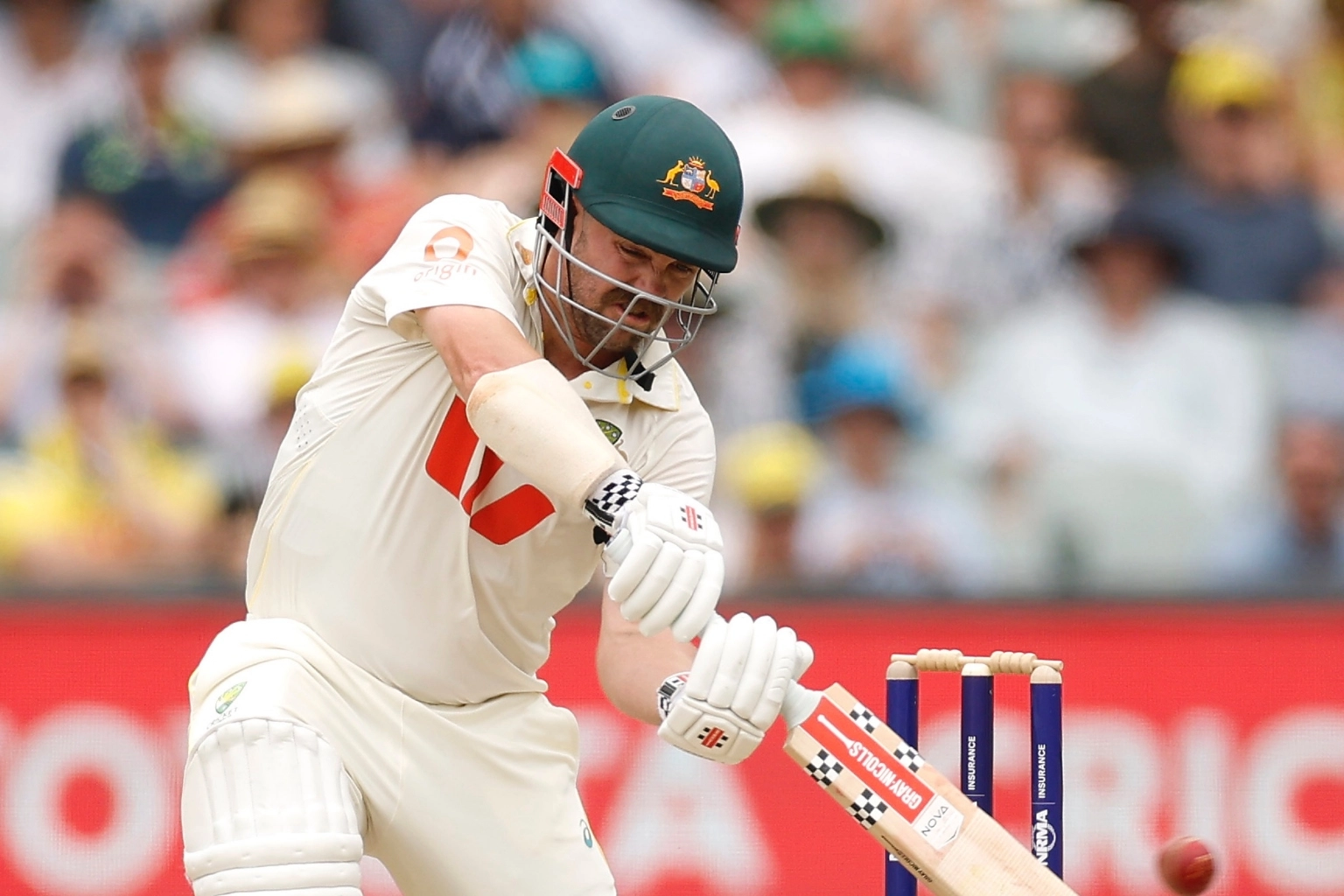 Resizedimage 2025 12 19 09 49 49 1