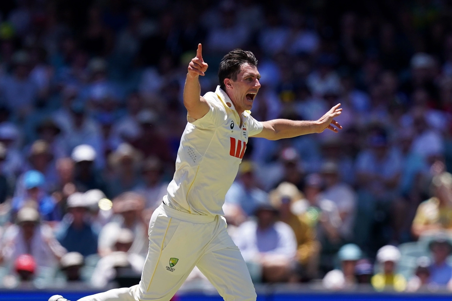 Resizedimage 2025 12 20 12 10 14 1