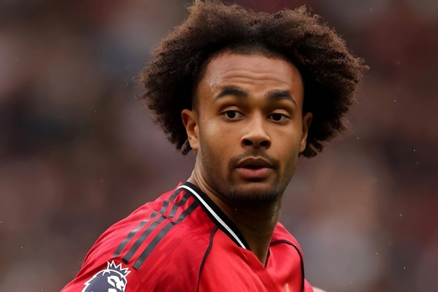 Resizedimage 2025 12 22 18 56 47 1