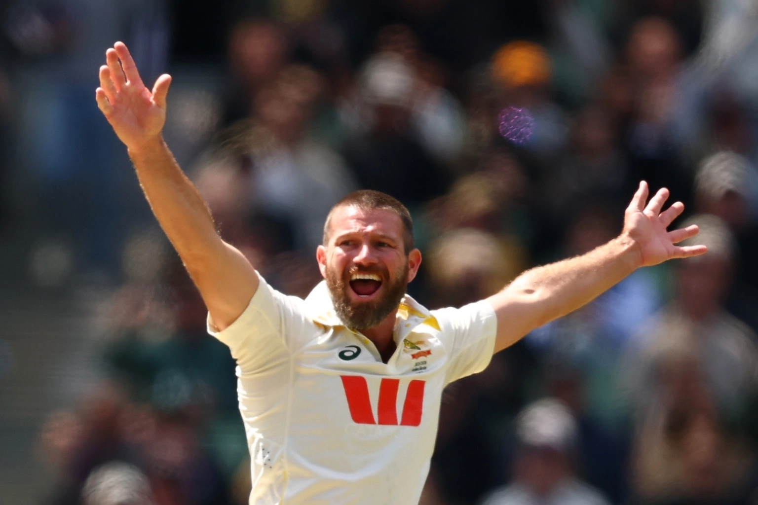 Resizedimage 2025 12 26 12 27 06 1