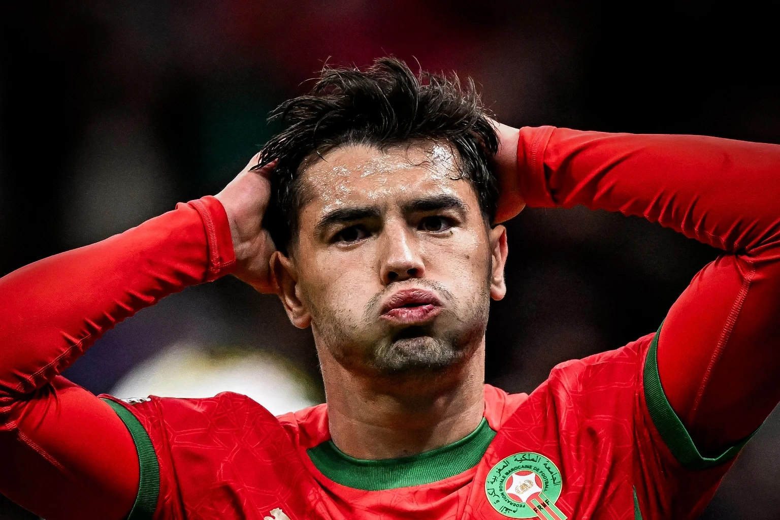 Resizedimage 2025 12 27 03 49 04 1