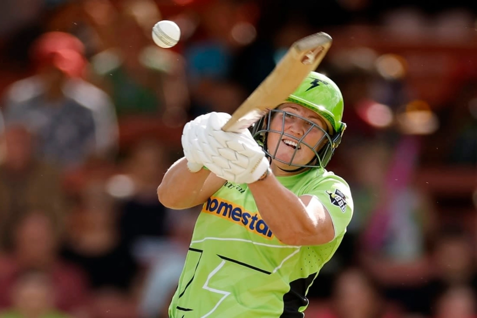 Resizedimage 2025 12 28 11 27 21 1