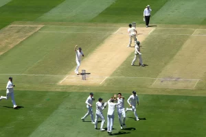 Resizedimage 2025 12 29 14 47 31 1