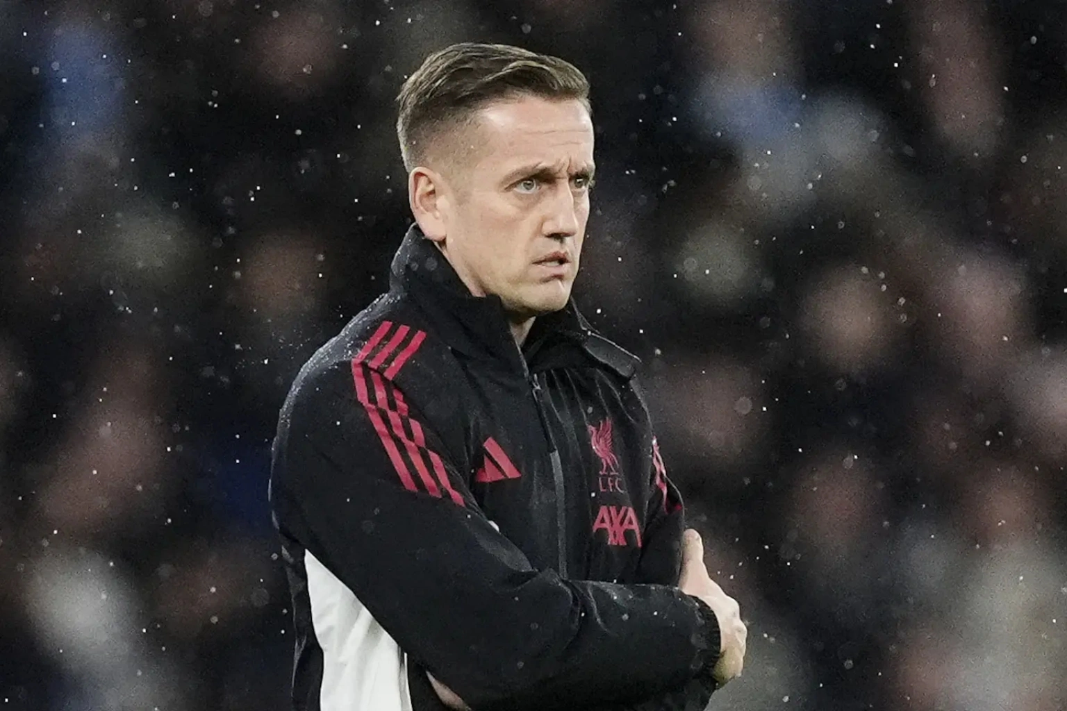 Resizedimage 2025 12 30 23 46 41 1