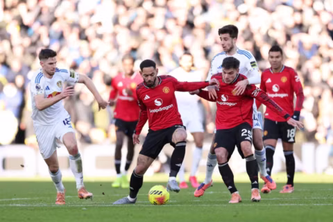 Manchester united
