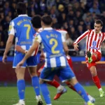 Resizedimage 2026 01 14 07 29 53 1