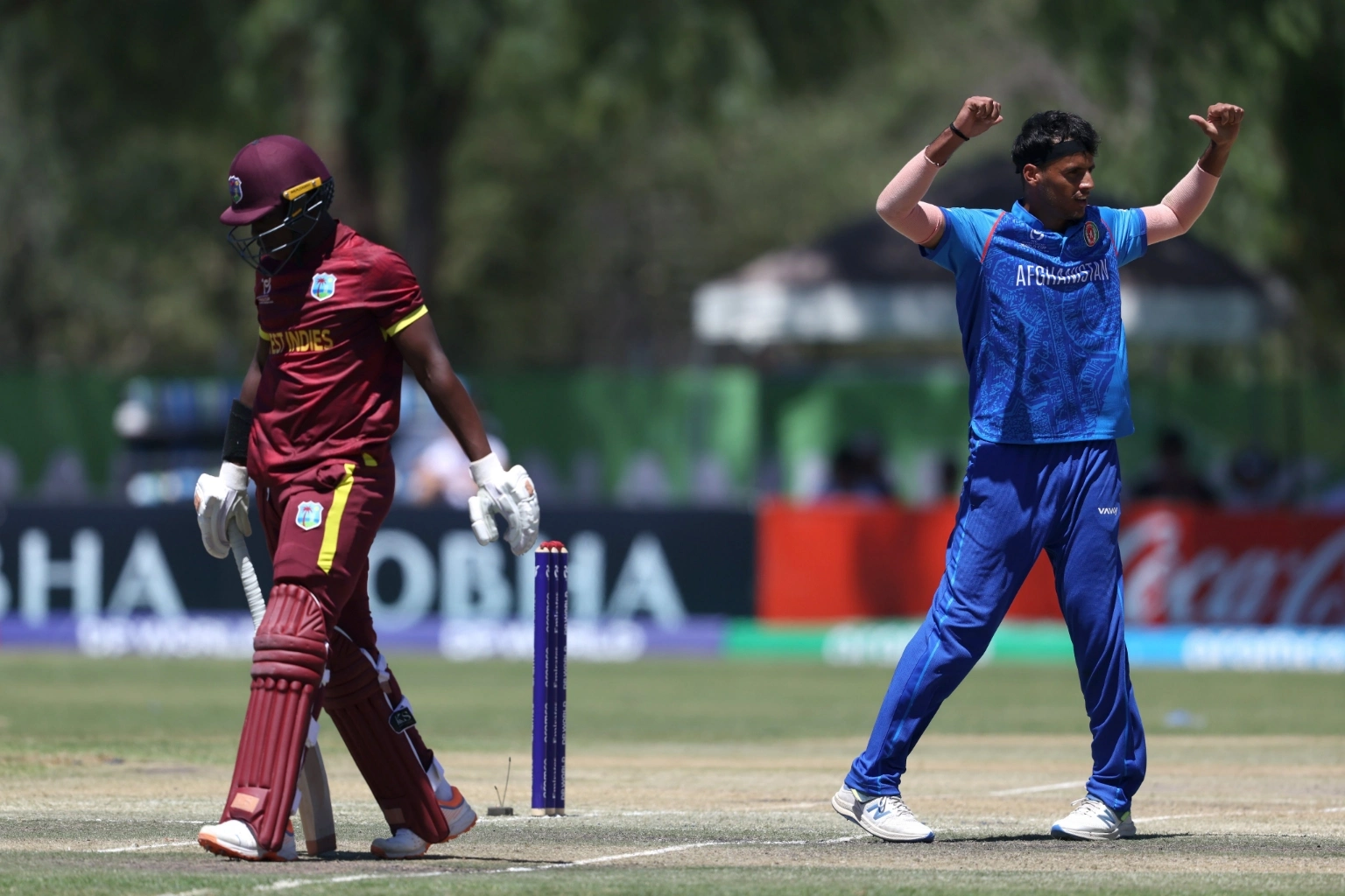 Resizedimage 2026 01 18 20 03 49 1