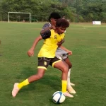 Resizedimage 2026 01 19 19 06 46 1