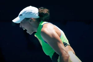 Resizedimage 2026 01 22 09 45 30 1