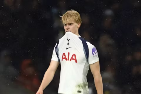 Resizedimage 2026 01 22 21 23 30 1